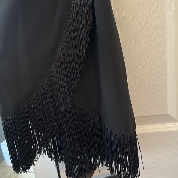 Beautiful flapper style dress with gorgeous fringe. - Picture 3 of 5